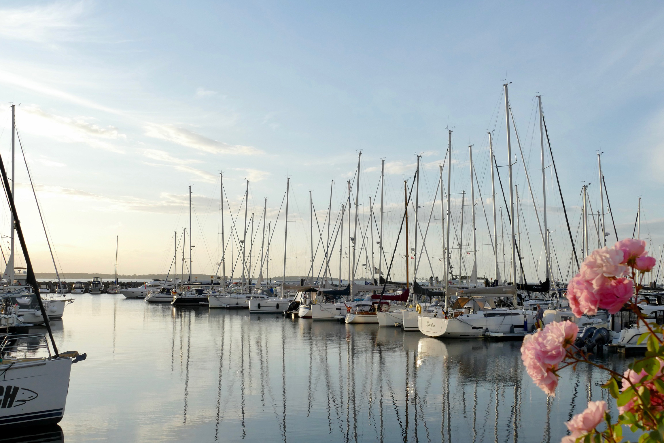 Hafen